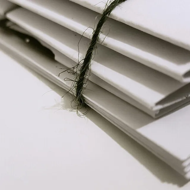 RVI will develop a ten-year plan for the advancement of Russian game development